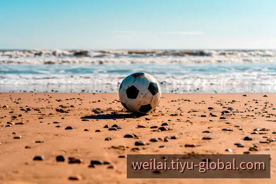 纬来国际多终端数字门户与智能节点调度中心